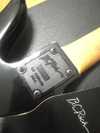 BC RITCH MOCKINBIRD 2.jpg